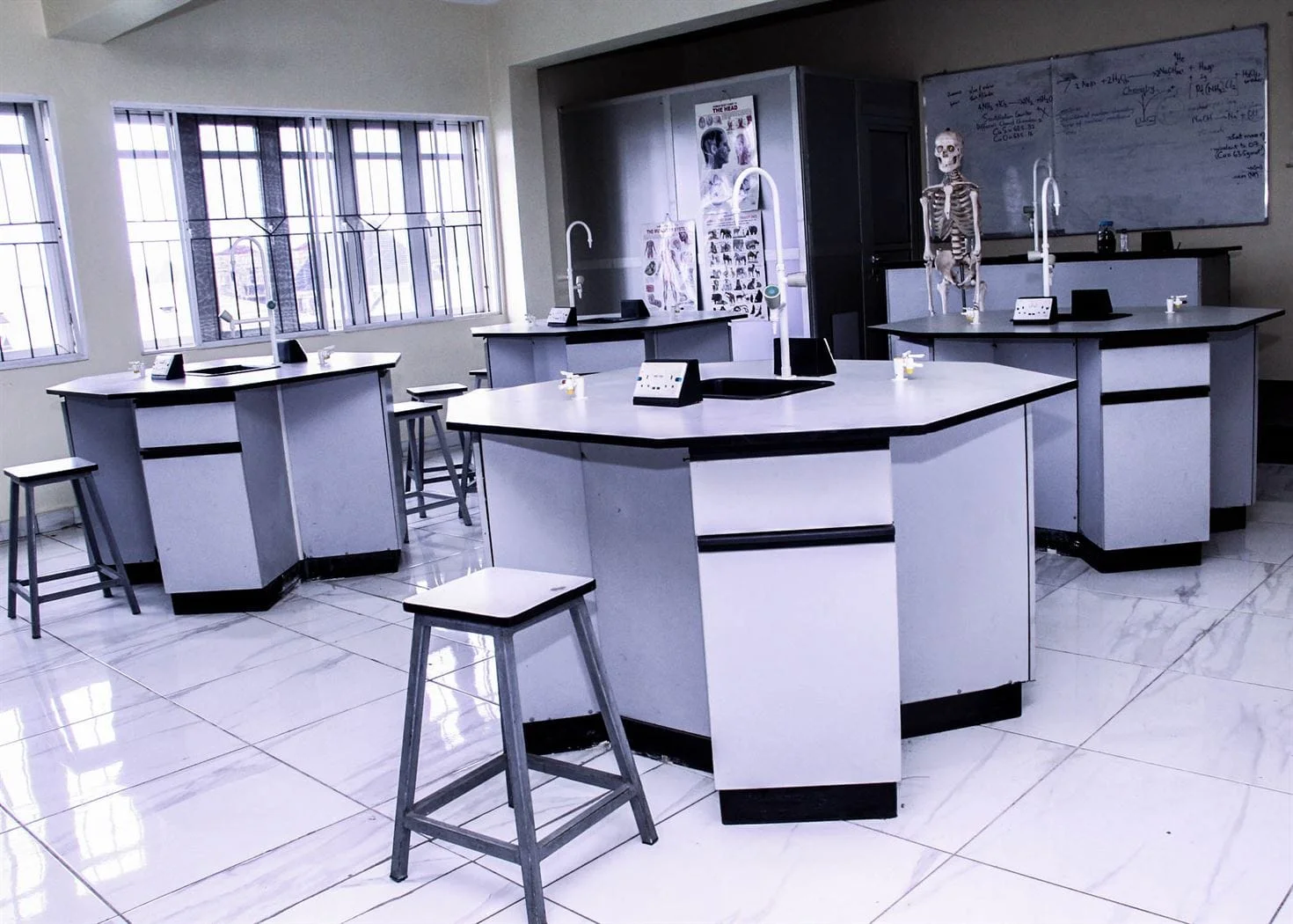 The Brains Premier Schools